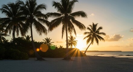 Silhouetted palm trees on a beach at sunset