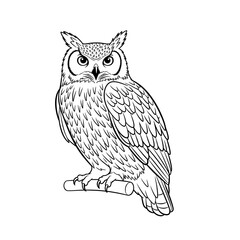 Fototapeta premium Detailed illustration of an owl sitting on a branch 