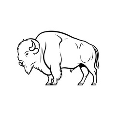 Fototapeta premium Bison illustration in black and white outline drawing style 