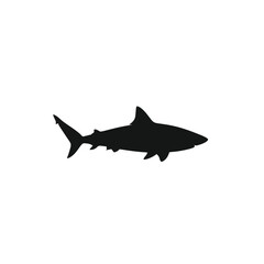 Fototapeta premium silhouette of a shark