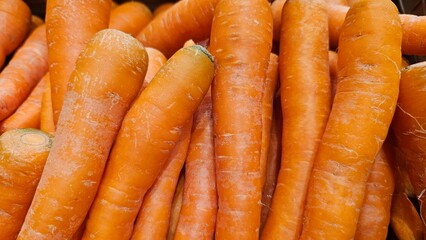 Close-up of vibrant fresh carrots, organic healthy root vegetables for cooking and diet.