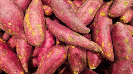 Abundant Harvest of Raw Red Sweet Potatoes