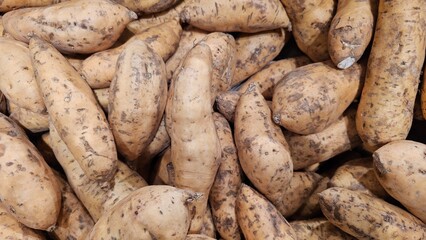 Bulk Fresh Sweet Potatoes with Natural Skin. Unwashed Root Vegetables in a Pile, Ready for Market or Cooking. Healthy Food Ingredient.