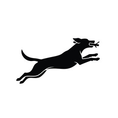 silhouette of a dog jumping with a stick on