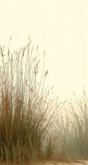 Delicate grasses rise from a sandy bank, bathed in a soft, muted light.