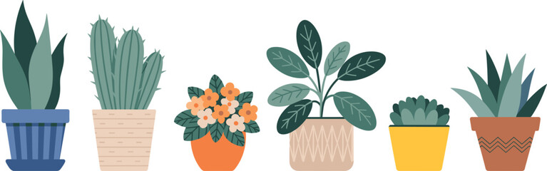 Flat illustration of indoor potted plants, minimalist houseplant decor, succulent, cactus, flower pots, greenery vector, modern home style ©  Creative vectors