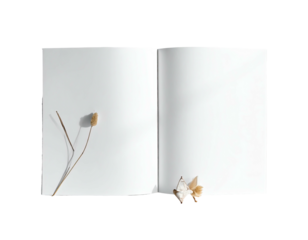 Open blank book with dried plant elements and shadow casting on white pages
