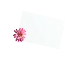 White card with a pink flower in the corner, isolated on a black background