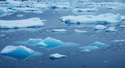 Floating ice formations in a vast body of water under a diffused daylight creating a serene scene