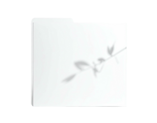 A white file folder with a shadow of a delicate, leafy branch on its surface