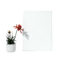 An artificial plant next to blank paper against black background. Shadow present