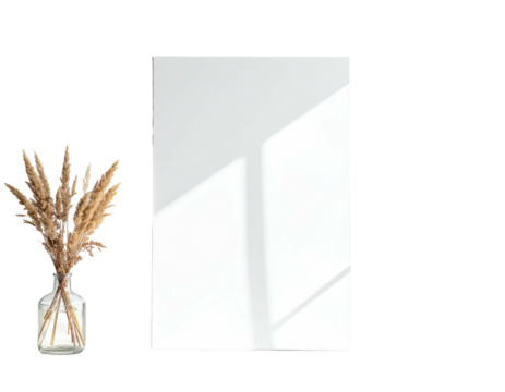 Neutral setting Dried wheat in glass vase, blank white surface with window light