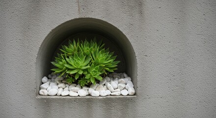Green succulent plant display in a niche with white pebbles against a gray concrete wall background