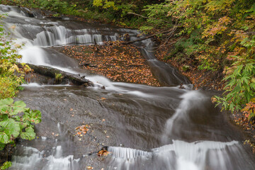 いつもの散歩道、初秋の風景