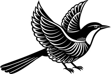 palestine sunbird on white background