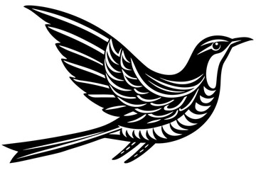 palestine sunbird on white background