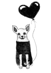 Romantic postcard. Drawing with pencils. Chihuahua dog in suit. A heart shaped balloon is tied to the dog's paw. Pet in a face. Monochrome. Isolated on a white background. Valentine's Day. Funny.