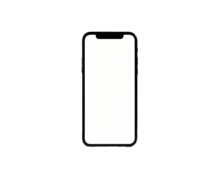 A modern black rectangular handheld device with a blank white display
