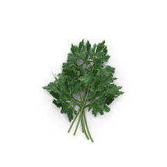 Fresh parsley bunch, isolated PNG