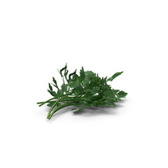 Fresh parsley bunch, isolated PNG