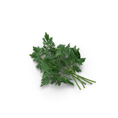 Fresh parsley bunch, isolated PNG