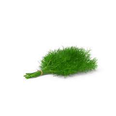 Fresh cilantro bunch tied with rope, isolated PNG