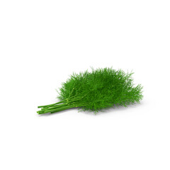 Fresh dill bunch tied with rope, isolated PNG