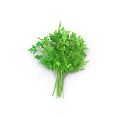 Fototapeta premium parsley leaves isolated against transparent background, PNG