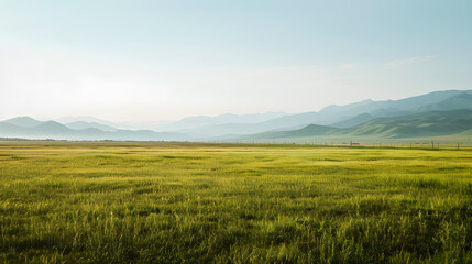 Fototapeta premium Grassland with distant mountains