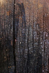 Obraz premium Dark burned wood texture with cracks and rough surface details