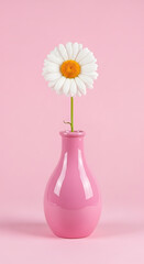 A single white daisy in a pink vase against a soft pink background