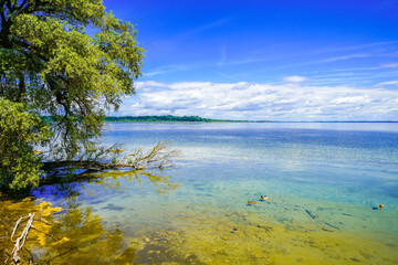 View of Lake Chiemsee and the surrounding landscape. Nature by the lake in Bavaria.
