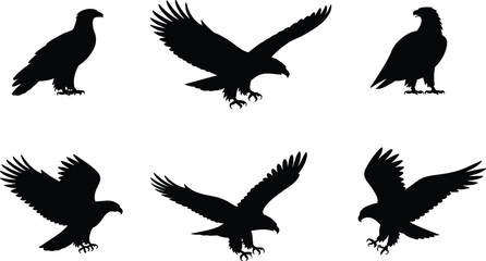 Eagle silhouette set, flying and perched poses, black bird icon collection, wildlife motion study, cad drawing flat vector illustration