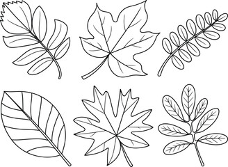 Leaf silhouette set, botanical foliage vector, black and white leaf drawing, nature icon pack, cad drawing flat vector illustration