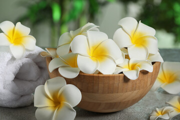 Bowl with beautiful plumeria flowers and towel on grey table outdoors