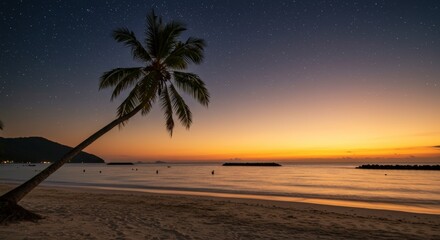 Tropical coastal scene featuring a silhouetted palm tree against a vibrant sunset over calm waters