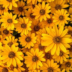 Close-up of vibrant yellow flowers (2)