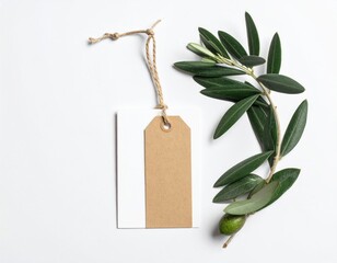Tag, twine, and olive branch on a plain, white background