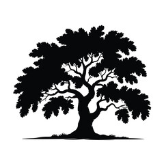 Silhouette of a large leafy oak tree against a white background