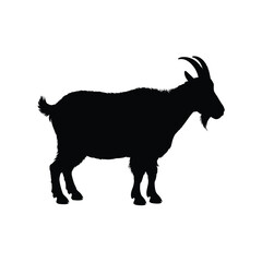 Black silhouette of a standing goat with horns on white background