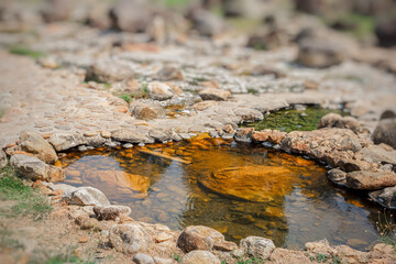In the area of ​​hot water that rises from the underground