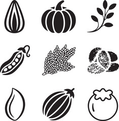 Nine detailed organic seed icons with transparent background vector