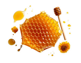 Sweet golden honey flowing through natural hexagonal honeycomb pattern inside a honeycomb on white background