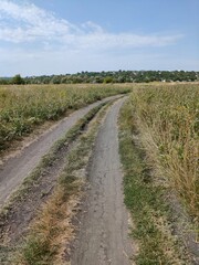 dirt road in the countryside