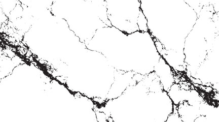Obraz premium Natural White marble texture for skin tile wallpaper luxurious White marble texture in natural pattern with high resolution for background 