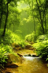 Obraz premium Lush Green Forest Stream Sunlight Rocks Ferns creek
