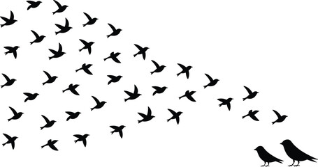 Flying bird silhouette illustration, flock of birds in flight, freedom concept, black vector design, migration pattern, wildlife art, nature symbol