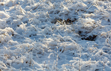 A field covered in snow and grass