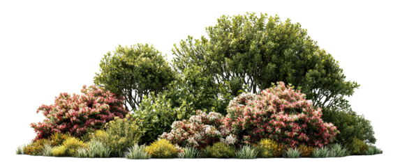 Set of blooming garden bushes and trees in spring landscape, isolated on transparent cutout background