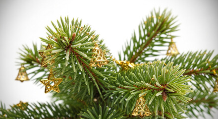 Macro of Frosted Pine Branch with Golden Ornaments